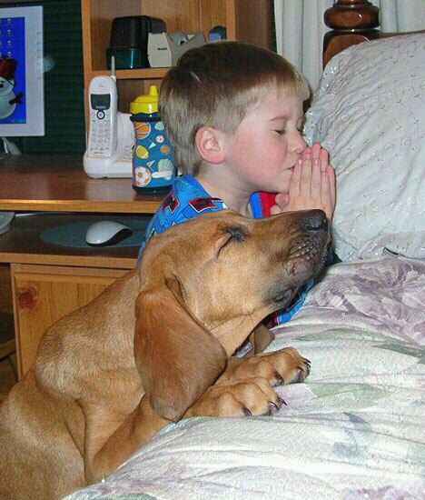 boy dog pray
